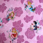 Disney Princess® Lakana