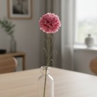 Tekokukka Neilikka Pinkki