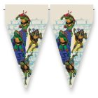Teenage Mutant Ninja Turtles® Viirinauha