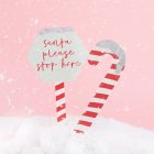 Santa, pysähdy tähän -puutarhakyltit