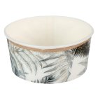 Trooppinen Katos Pahvikupit