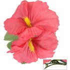 Hibiskus Hiusklipsi Vaaleanpunainen
