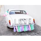 Love Autokoriste Hopea