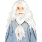 Harry Potter® Dumbledore Peruukki & Parta Lapsille