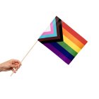 Progress Pride Lippu Kepissä