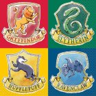 Harry Potter® Hogwarts tuvat -servetit