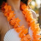 Havaiji Kukkaseppele Oranssi