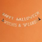 Witches & Wizards Halloween Viirinauha