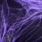 Hämähäkinseitti Violetti