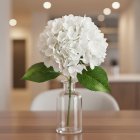 Tekokukka Premium Hortensia Valkoinen