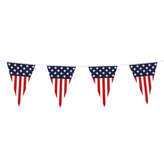 USA Viirinauha