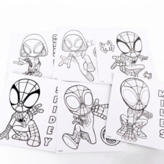Spiderman® Värityssetti