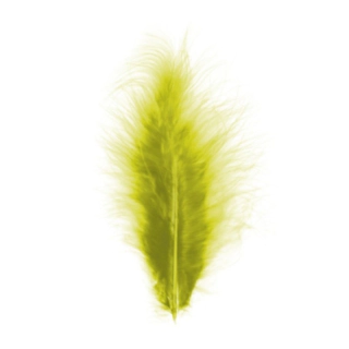 Koristehöyhen Kiwi 10–15 cm