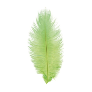 Strutsinsulka Limenvihreä 55–60 cm