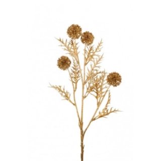 Allium koristeoksa