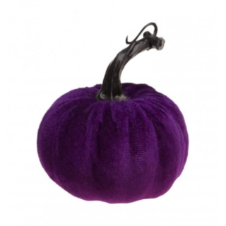 Velour Kurpitsa Violetti