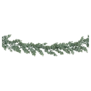 Tekoeukalyptus Köynnös Vihreä