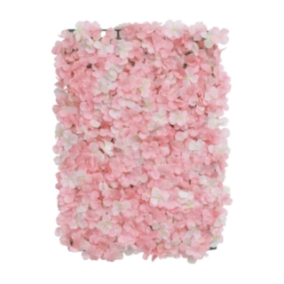 Hortensia Kukaseinä Vaaleanpunainen