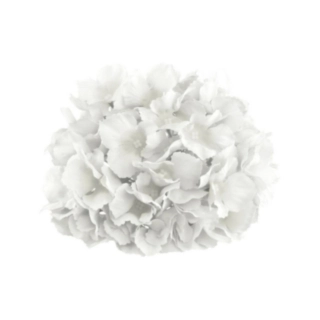 Tekokukka Hortensia Valkoinen