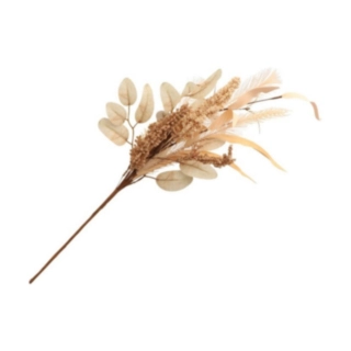 Tekokasvi Syysoksa Beige