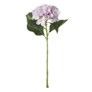 Tekokukka Hortensia Liila