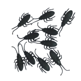 Torakkasetti