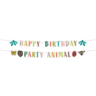 Zoo Party Happy Birthday Viriinauha