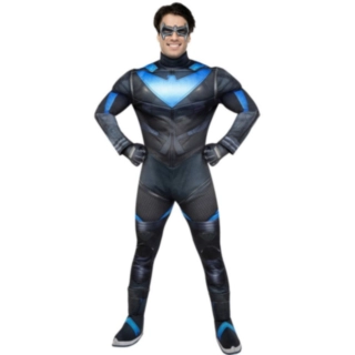 Gotham Knights® Nightwing Asu