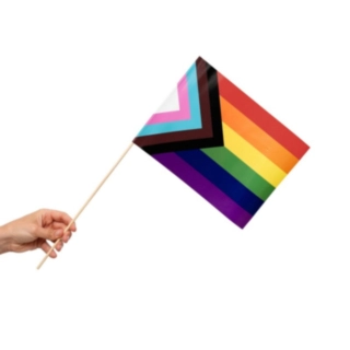 Progress Pride Lippu Kepissä