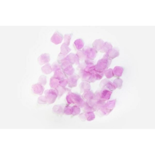 Ruusun Terälehdet Violetti