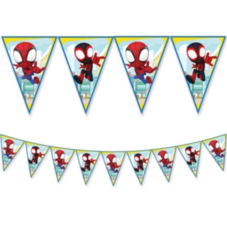 Spidey & His Amazing Friends® Viirinauha