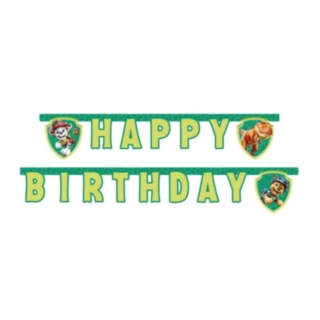 Paw Patrol® Dino Happy Birthday -Viirinauha