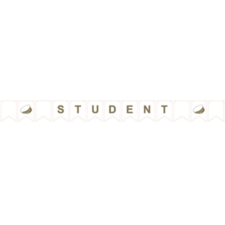 Student Viirinauha
