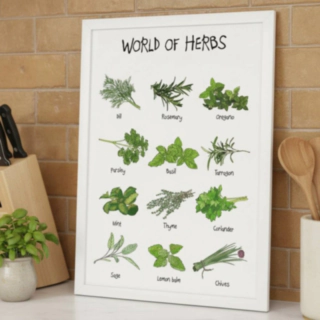 World Of Herbs A4 Juliste