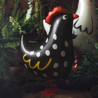 Kukko Foliopallo