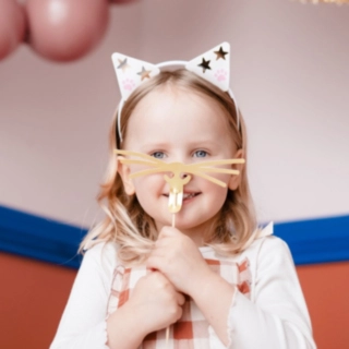 Kissa Teemapakkaus