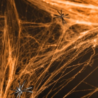 Hämähäkinseitti Oranssi