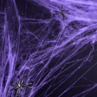 Hämähäkinseitti Violetti