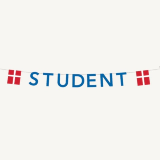 Studentti lippuviiri sininen