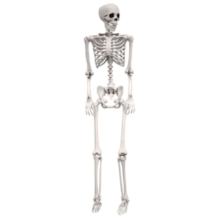 Luuranko Life Size