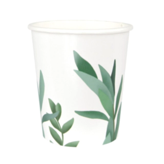 Eukalyptus Pahvimukit
