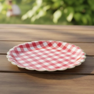 Ruudulliset Piknik Kertakäyttölautaset Punainen/Valkoinen