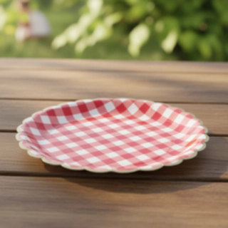 Ruudulliset Piknik Kertakäyttölautaset Punainen/Valkoinen