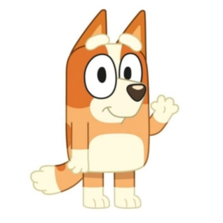 Bluey® Bingo Tyyny