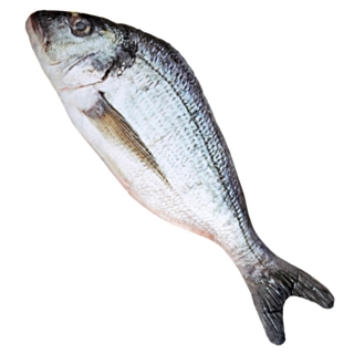 Tekokala
