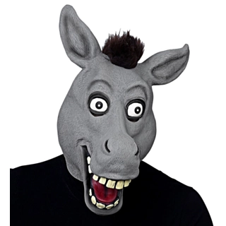 Hauska aasinaamari