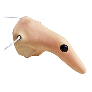 Noidan nenä
