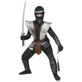 Master Ninja Lasten Asu