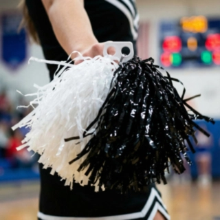 Mustavalkoinen Pom Pom