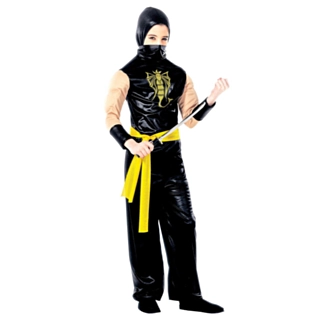 Power Ninja lasten asu